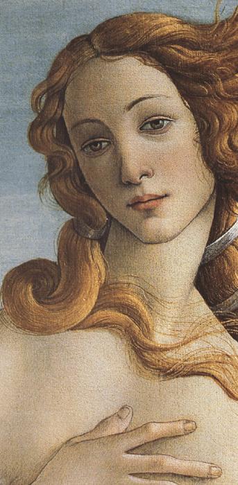 Sandro Botticelli The Birth of Venus (mk36) oil painting image